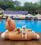 물놀이하고 왔어용