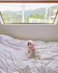 휴가다녀왔어요!