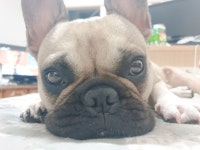 성별구분?