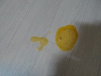 강아지 노란 토