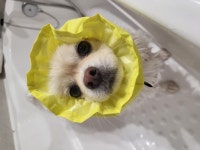 멍빨데이