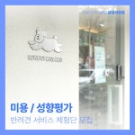 [하울팟 케어클럽 분당] 반려견 미용 1회 이용권 or 성향평가 1회 이용권 중 택1