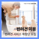 [하울팟 케어클럽 분당] 반려견 목욕 1회 이용권 or 부분미용 1회 이용권 중 택1