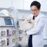 [강남 동물병원] 강아지/고양이 심장검진 패키지