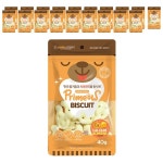 CY요셉트레이딩 강아지 프리미요 치아관리 비스켓 40g