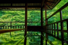 경기소방방재청119ARS