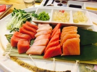  오랜만에 참치애난