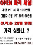 크로스핏핏불개인트레이닝서비스오픈크로스핏개인pt다이어트헬스