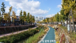전세 6천 풀옵션 (고려대/보문역/성신여대 5분거리) 월세도 가능