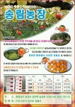 안녕하세요 맛좋은감이왔어요!!
