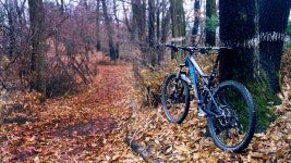 라이딩후기 - 비가 잠시 멎어 우면산 갔다왔습니다. 비가 잠시 멎어 우면산 갔다왔습니다.