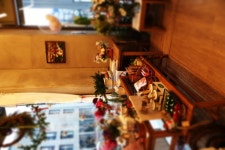 웰커밍플라워(Welcoming Flowers)