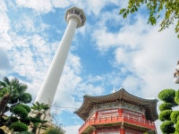 부산타워 입장권 할인 :: 용두산공원 부산 전망대에서 빕스 수제버거까지! - KKday Korea 공식 블로그