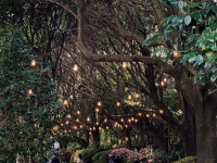 제주도 카멜리아힐의 모든 것 :: 개화시기, 입장권 할인, 카멜리아힐 지도(Feat.수국축제) - KKday Korea 공식 블로그