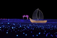 22/23년 국내 빛 축제 일정 :: 해운대 빛 축제부터 야경 명소까지 - KKday Korea 공식 블로그