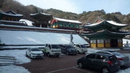 250202 내란수괴 윤석열 사건… 중앙지법 형사25부 배당 - 뉴스 & 이슈 - dambau6210 250202 내란수괴 윤석열 사건… 중앙지법... 