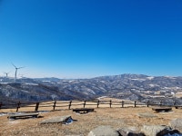 대관령 삼양목장 다녀왔는데 정상 전망대는 정말 춥네요 : 클리앙