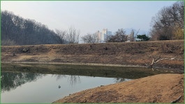 바람따라 구름따라 1136회( 밤실지) :: 토종붕어를 사랑하는 사람들