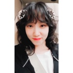 더쿠 - 복슬강아지 짤 떴다
