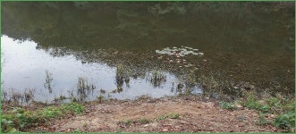 채비의 독조 일기 :: 토종붕어를 사랑하는 사람들