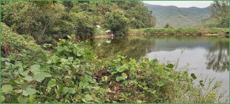 채비의 독조 일기 :: 토종붕어를 사랑하는 사람들