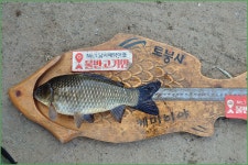 바람따라 구름따라 1120회( 신반천 ) :: 토종붕어를 사랑하는 사람들