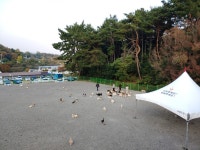 전라/군산 카테고리의 글 목록 (2 Page)