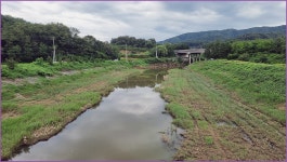 바람따라 구름따라 1375회( 안평천) :: 토종붕어를 사랑하는 사람들