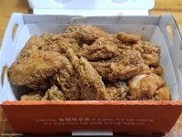 또래오래 두마리치킨 | 갈릭플러스 양념치킨 2마리