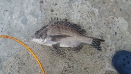 6월 첫 연휴 갈도 2박3일 야영(2)