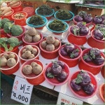 선산 장날 스케치 :: 토종붕어를 사랑하는 사람들