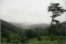 산행기 - _ _ _ 은봉산 ~ 봉화산..