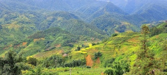 베트남 전망 좋은 SAPA 호텔에서 다랭이논 바라보기 | 네이트 판