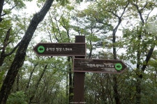여행기 - 운악산, 포천구절초 2020.09.12