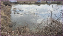 동행출조 :: 토종붕어를 사랑하는 사람들