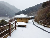 청정자연 속 애견펜션, 홍천 멍박흙집사랑