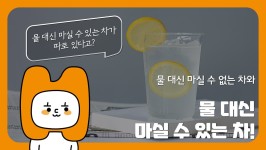 물 대신 마실 수 있는 차 vs 물 대신 마실 수 없는 차