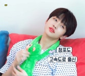 내가 조아하는 원숭이 단 이협 - 케이돌토크 카테고리