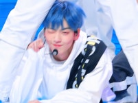 더쿠 - 혹시 캣앤독 요 때 움짤 있는 사람 있으까...!!