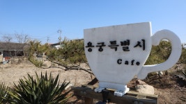 예천 용궁특별시 카페, 용궁면 핫플레이스 인테리어와 분위기 좋은 카페