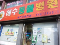의정부 혜수동물병원, since 1991