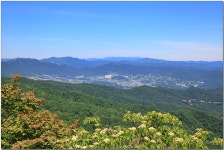 산행기 - _ _ _ 대암산..