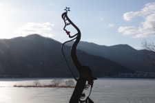 내일은 춘분 - 자유 게시판 - (사)사랑의 밥차 내일은 춘분