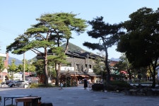 부산테마여행사