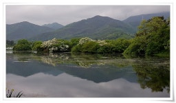 먹는 것에는 언제나 진심 : 클리앙