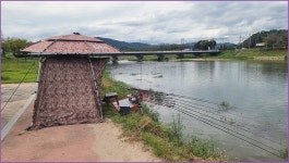 바람따라 구름따라 1383회( 산양천) :: 토종붕어를 사랑하는 사람들