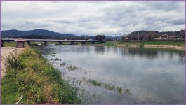 바람따라 구름따라 1383회( 산양천) :: 토종붕어를 사랑하는 사람들