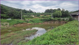 바람따라 구름따라 1375회( 안평천) :: 토종붕어를 사랑하는 사람들