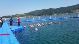 블로그 > 시설소식 > 거제해양레포츠센터 수상인명구조요원 양성교육