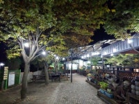 탁트인 자연환경이 인상적인 군산 유기동물보호소 도그랜드